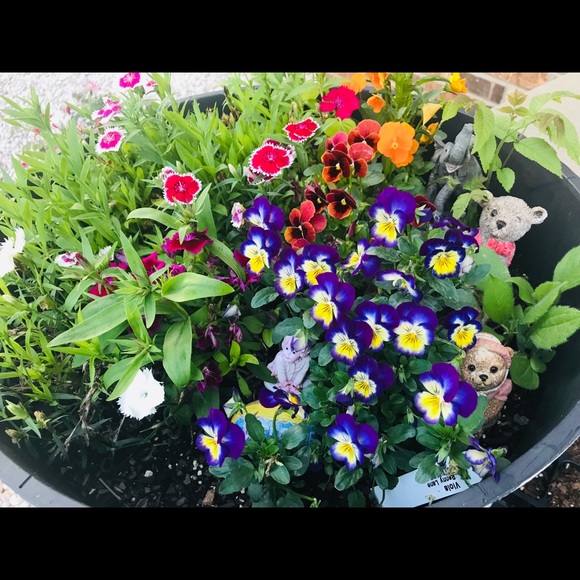 Meet your Posher, Deep - Picture 1 of 1